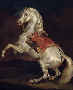 Le Cheval de Napoléon, Tamerlan